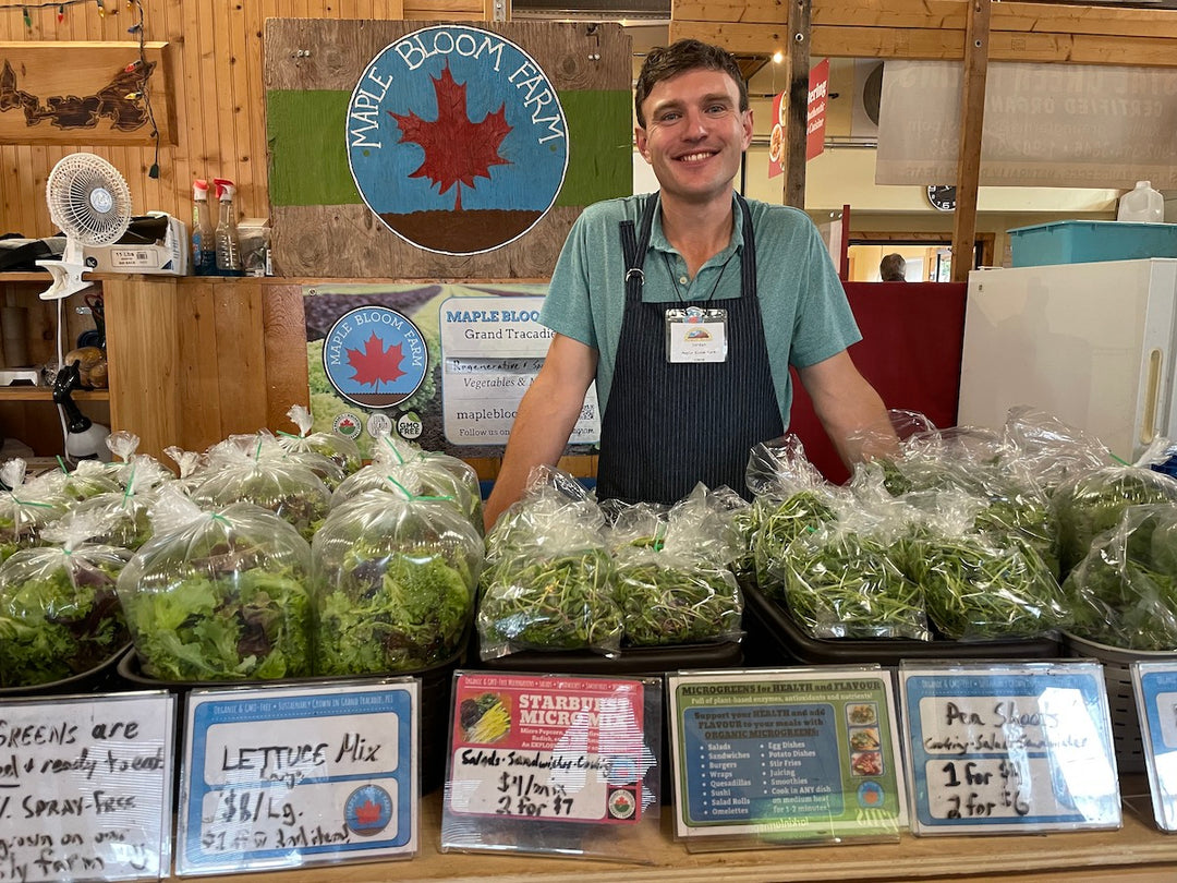 Join the Movement: How Our Organic Farm Box CSA is Challenging the Industrial Agriculture System